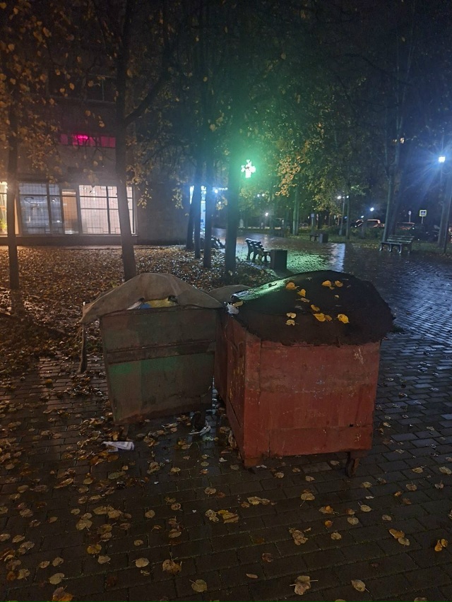 Как стояли грязные дырявые мусорные баки у домов, прям?...