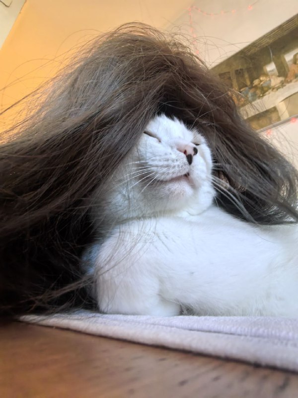 who is this diva?... 💅