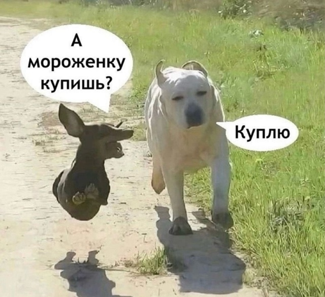 Тяжело мужчинам порой приходится