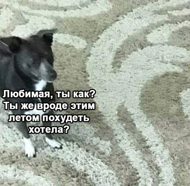 Все мы пытались
