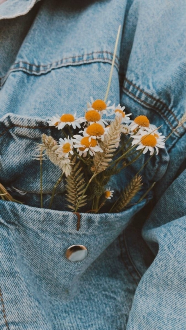 Жизнь начинается каждое утро.
Джоэл Олстин