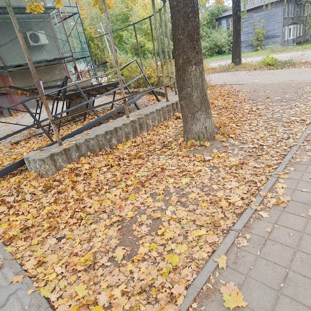 Здравствуйте, такой огромный вопрос задают общижитея ?...