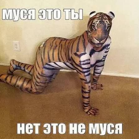 мой мужик, привыкший к тому, что я его пилю и посылаю, когда увидел меня в овуляцию