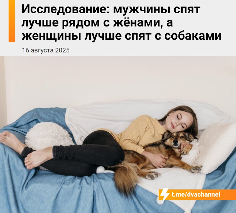 Мужчины крепче спят с жёнами, женщины — с собаками, показало исследование
Учёные отмечают, что мужч