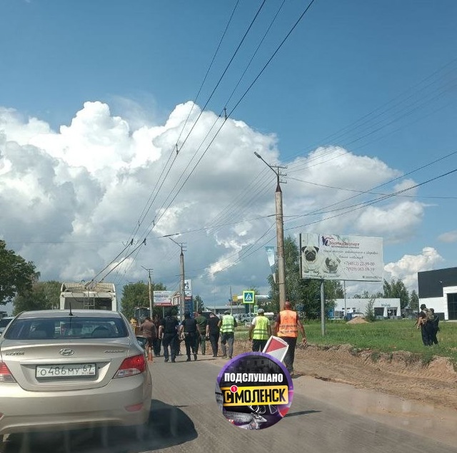 Возле заправки на Краснинском шоссе замечены минимум 5...