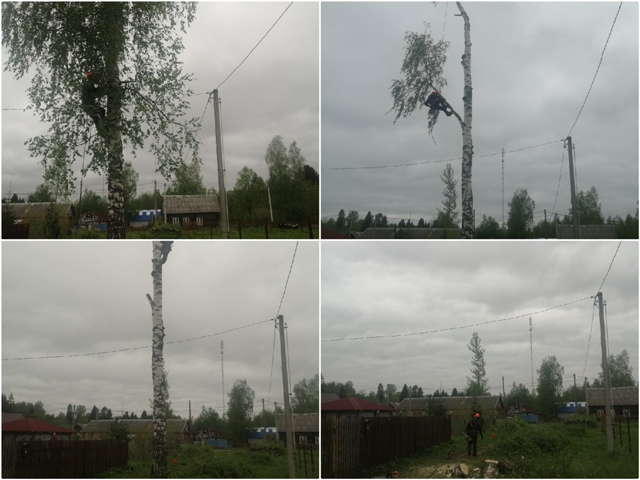 Спил деревьев любой высоты и сложности. Рядом с домом, ?...