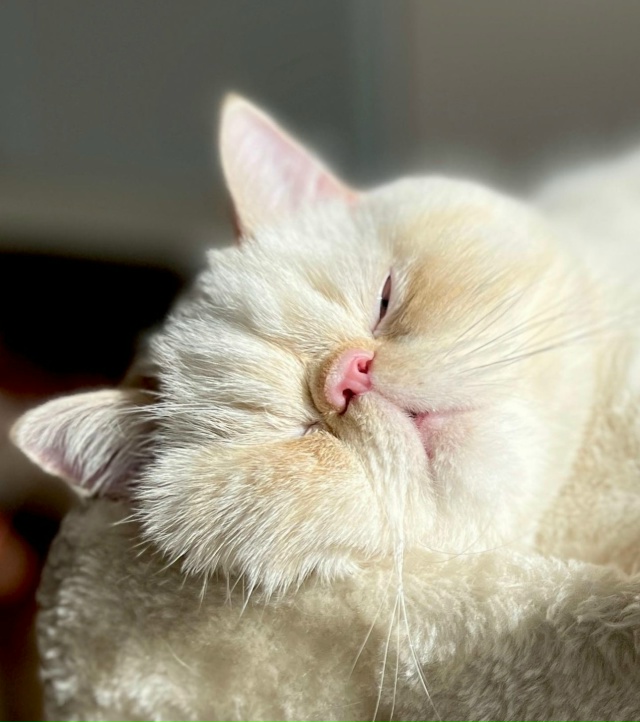 Нашли вам немного покоя, оставьте его при себе на всяки...