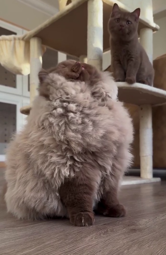 Она точно самая главная в семье