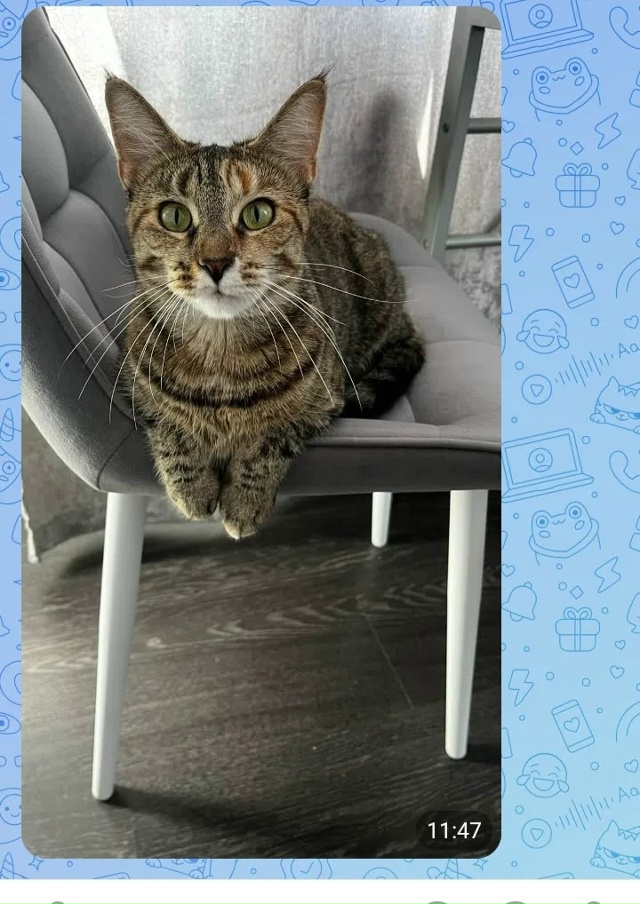 Помогаю информационно, телефон для связи 9517295891 Ольга