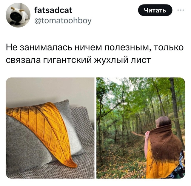 Он просто идеальный!