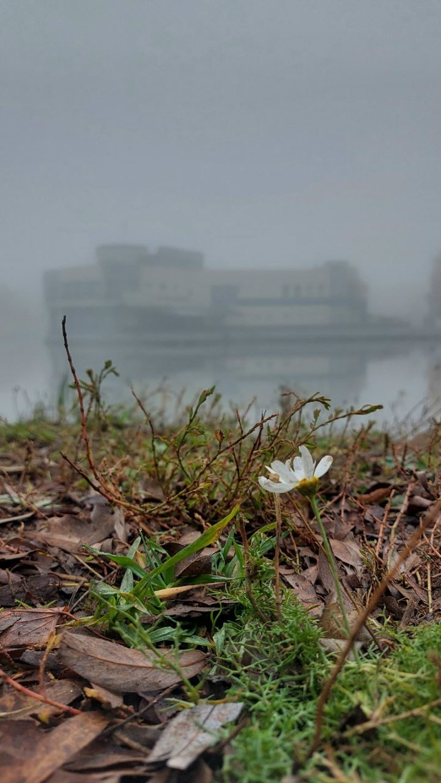 Брагино в тумане. Листайте.