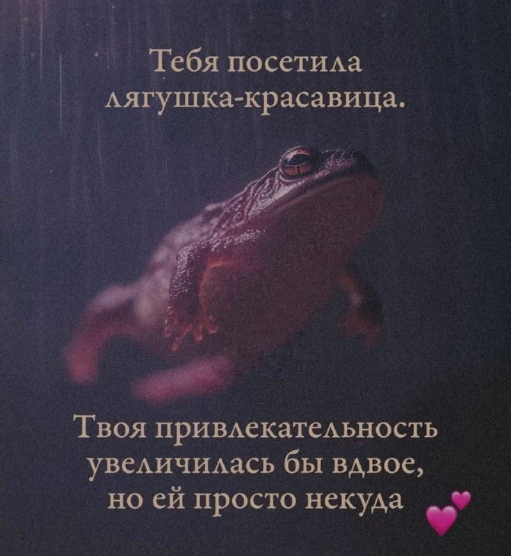 Ночная подборочка
Спать, режим