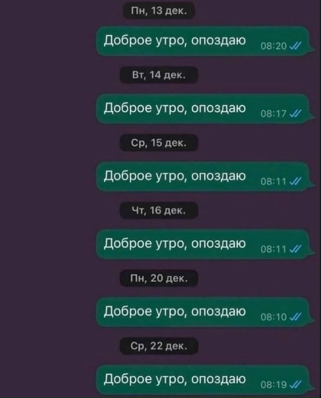 ### Краткий обзор моей профессиональной деятельности
---