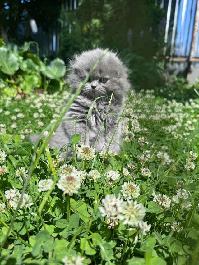 Доброе утро от Тучки 🥰