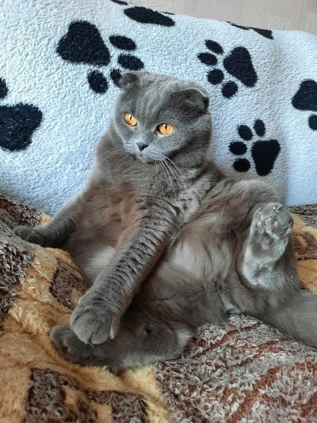 Всем хорошего настроения💙 ))