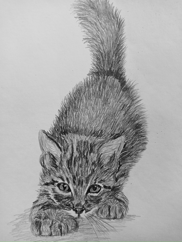 Охота
Простой карандаш📝