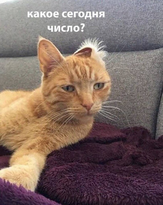 состояние..