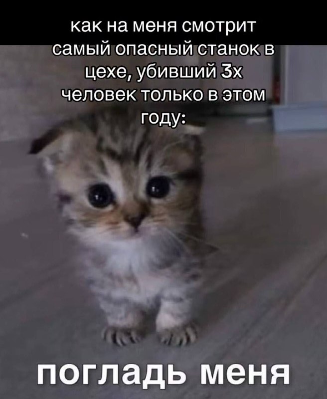 Утренняя подборочка