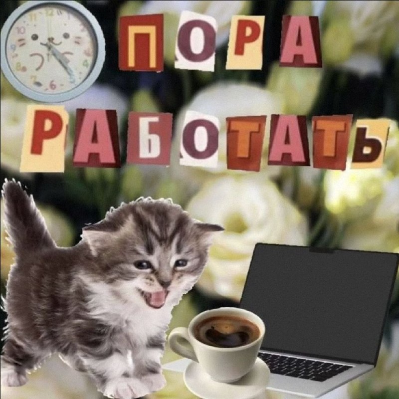 Утренняя подборочка