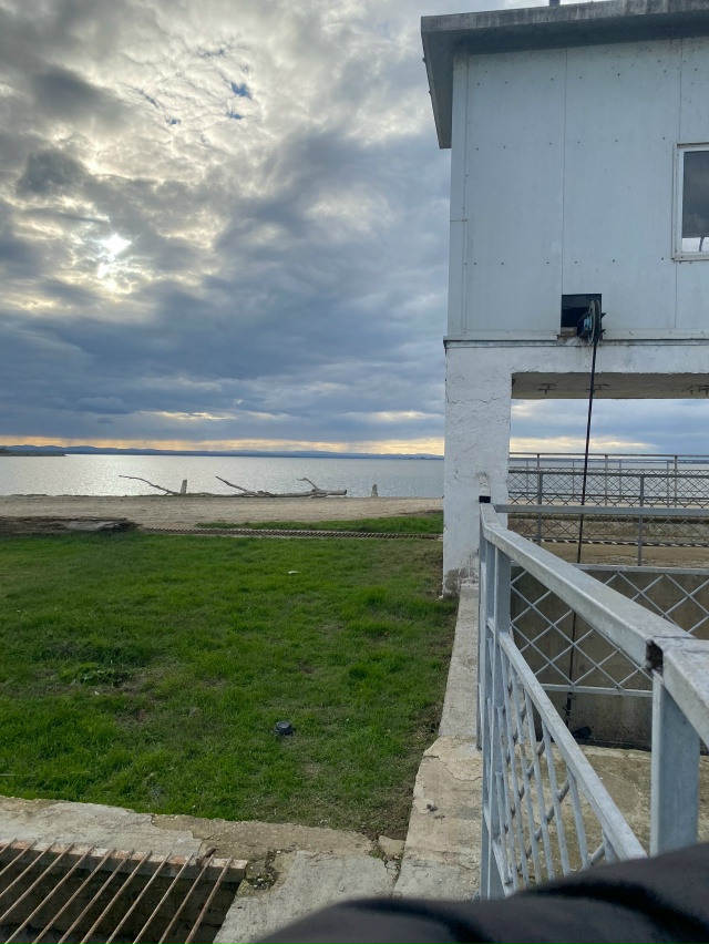 Здравствуйте 🤝 может кто сможет помочь кутькам (
Они т...