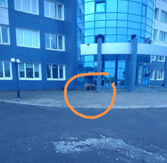 Пришёл устраиваться на работу в Новомет