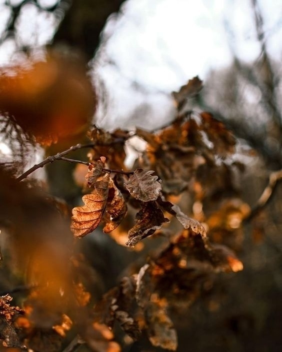 Сколько красоты в том, что зовётся мелочами✨