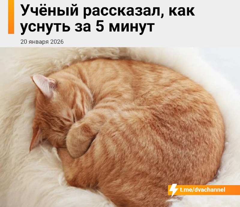 Учёный рассказал, как заснуть за 5 минут с помощью дыхания и движений глаз
Этот метод поможет быстр