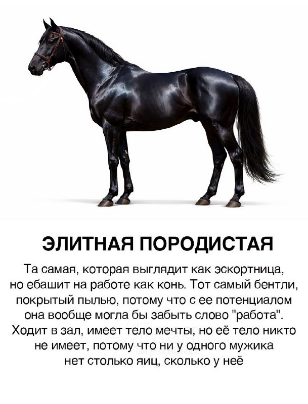 Появилась классификация тянок в виде лошадей
Ищем себя, скидываем подружкам