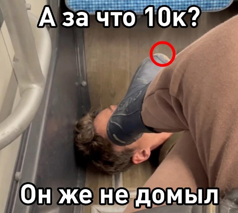 В Москве суд обязал девушку выплатить компенсацию мужчине, который облизывал ей обувь в автобусе.
О