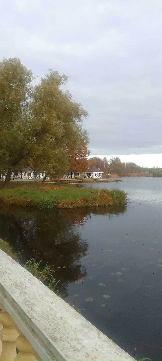 Осенние краски осени