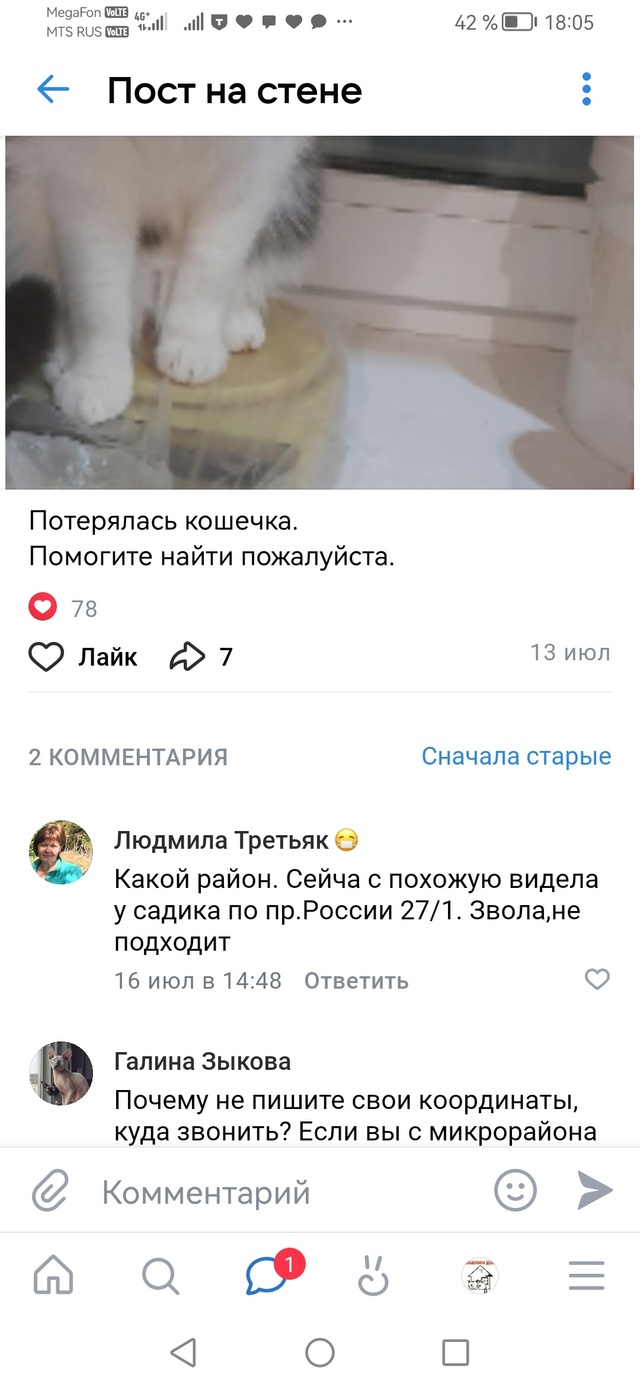 13 июля был выложен пост о потере кошки.
Автора нет, номе...