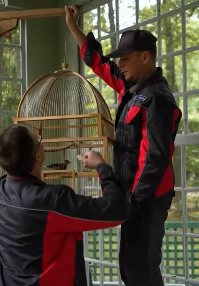 Пернатые «Петергофа» переехали в зимние домики
С нас...