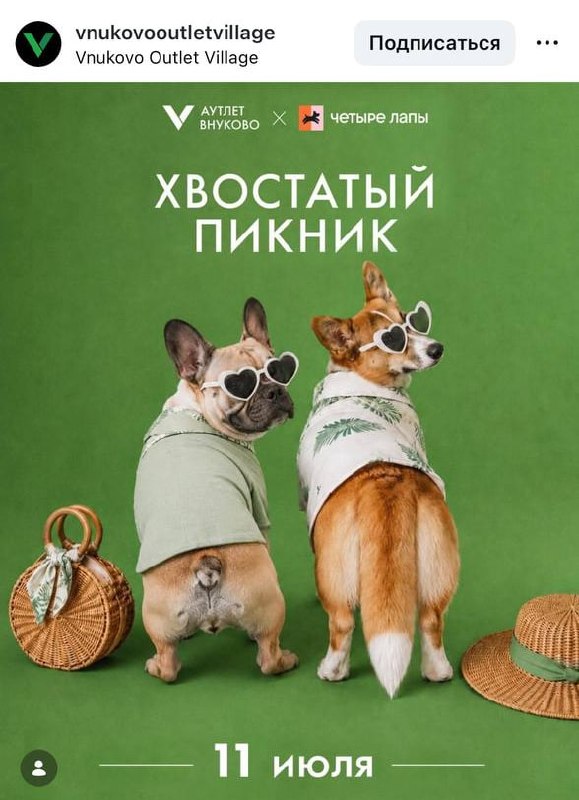 Милота: в Аутлет Внуково пройдёт «Хвостатый пикник» специально для владельцев хвостиков.
В программ