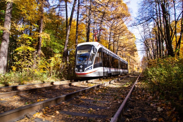 Золотая осень прощается с Нами, следующая остановка зи...