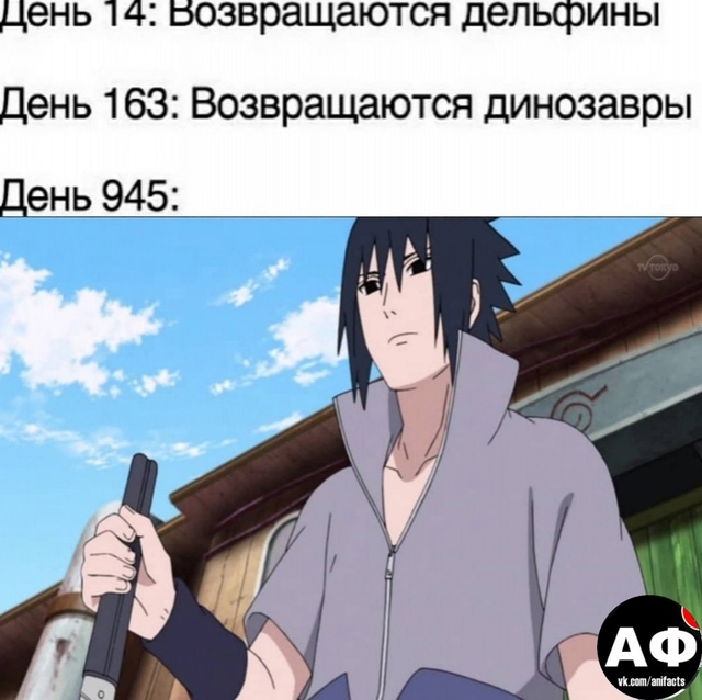 аниме факты