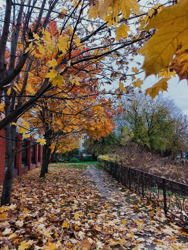 Чудесного дня!
📸Ирина Белова