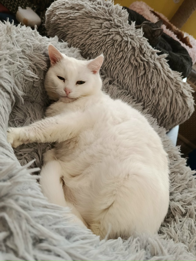 Не буду говорить, где, чтобы не было рекламы, я сегодня ?...