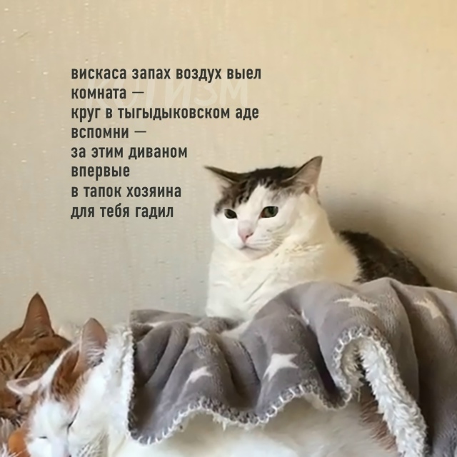 Любовный треугольник Маяковского: