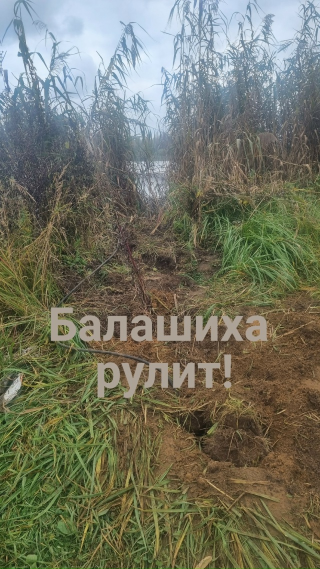 ‼Внимание‼Браконьеры‼
55.741099, 38.063966
На озере в д.Черн?...