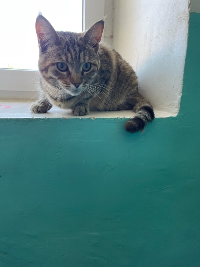 Чей красавчик отбился от семьи?? На данный момент в под?...