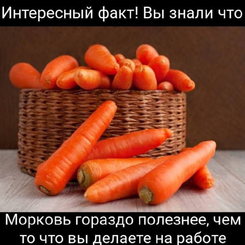 Утренняя подборочка