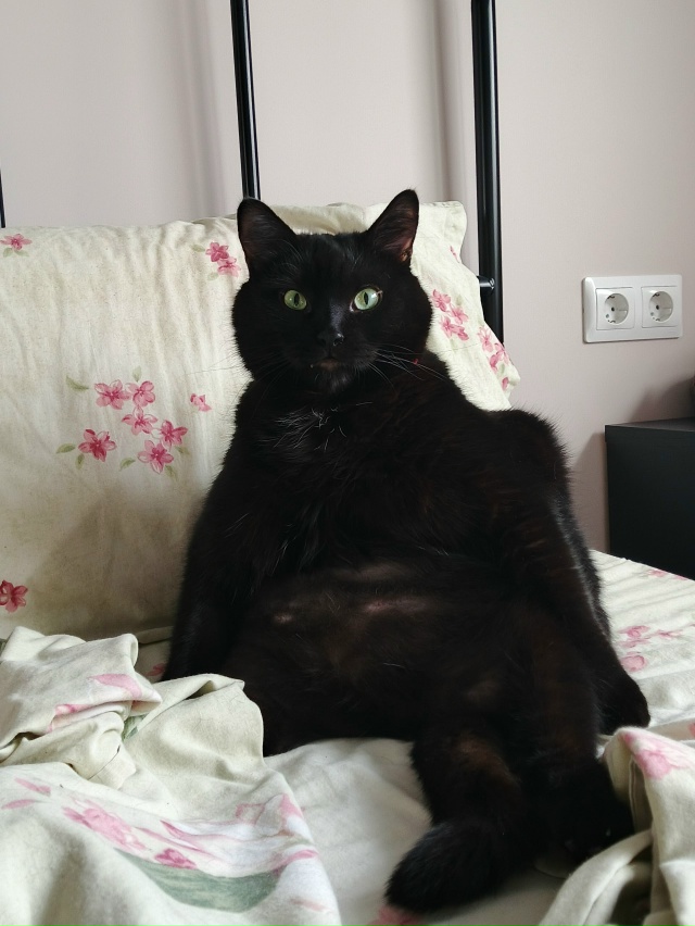 Как жаль что еда такая вкусная
1 год/5 лет