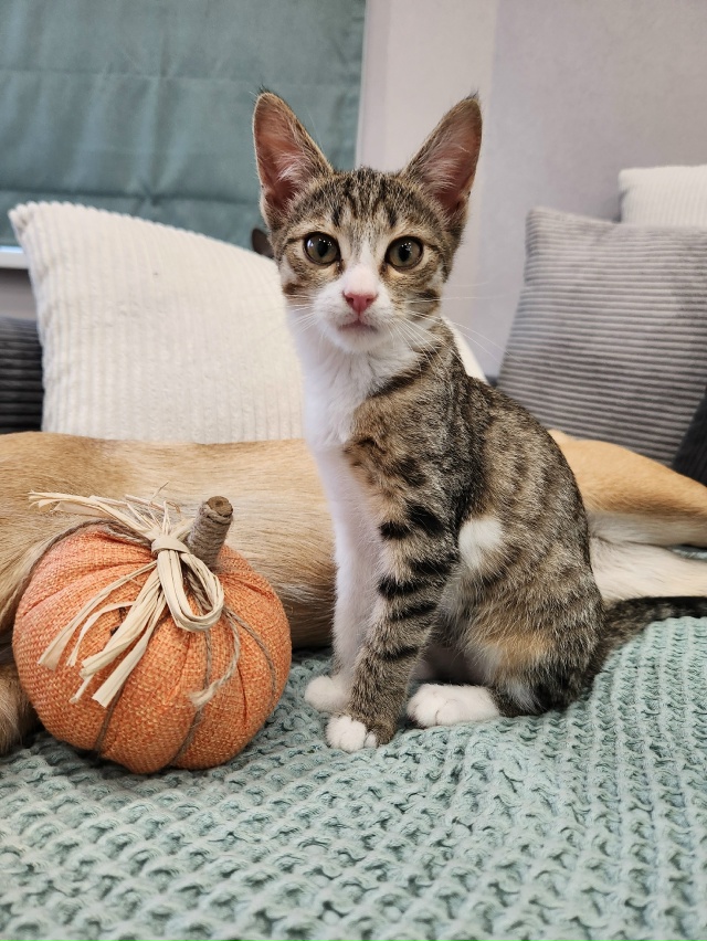 ❗️ВОЛГОРЕЧЕНСК ❗️
МАЛЕНЬКАЯ БАНДИТКА ПО ИМЕНИ ЛЕРА ...