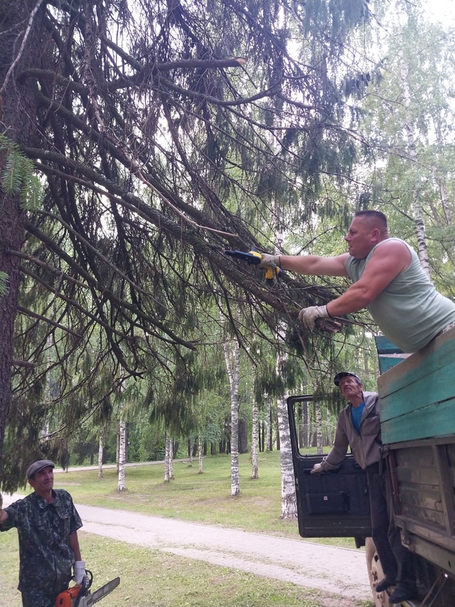 Благоустройство в Никольске
Сотрудники Никольской у...