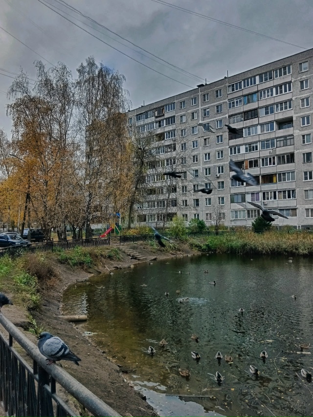 Доброе утро!
📸Ирина Белова