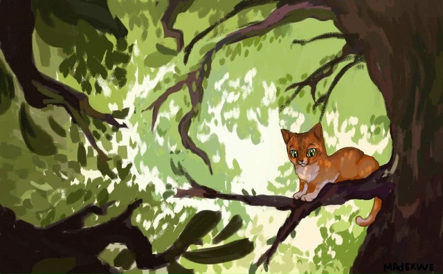 Огнезвезд
© madexwe
#KV_ZZ_ART