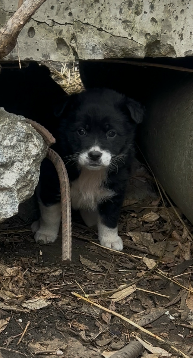 Люди!!! Помогите!!!
Очень верим, что мир не без добрых лю...