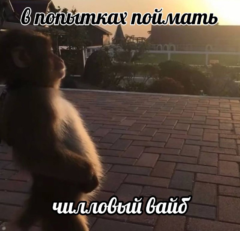 Воскресенье, объявляется всеобщая чилловая прокайфовка
Выкидывай телефон и иди вайбить. 3 часа вас