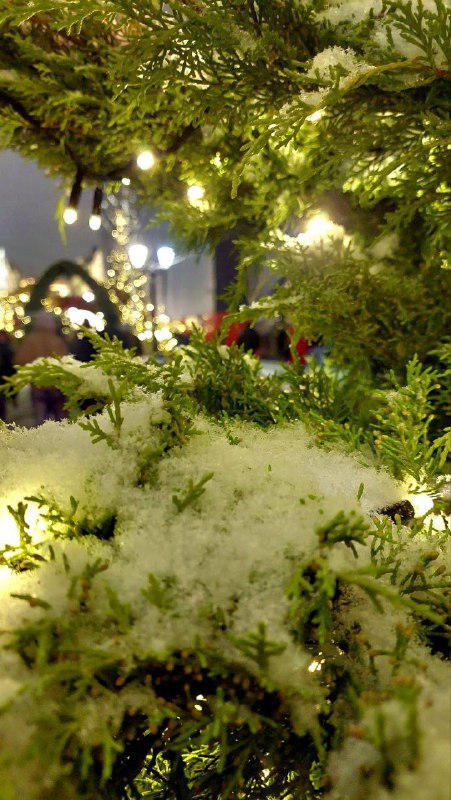 В Москве и Подмосковье полнейший джингл беллс — за ночь выпала треть месячной нормы осадков.
Зима т