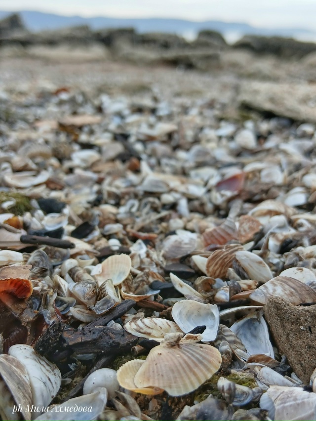 Жигулевское море.🌊🍂